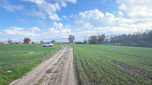 Kapaklı Pınarçada 2000m2 Tek Tapu Kupon Tarla