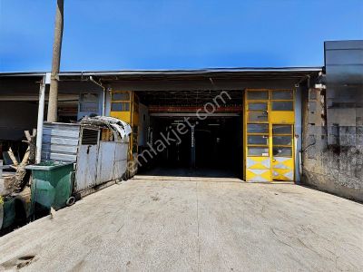 İşyeri-Dükkan & Mağaza