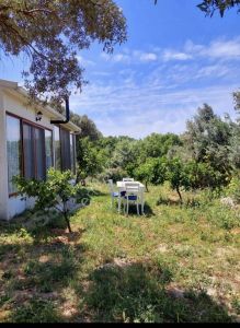 Seferihisar Sığacık Taşdibi'nde Bahçeli Deniz Mnz Kiralık Villa