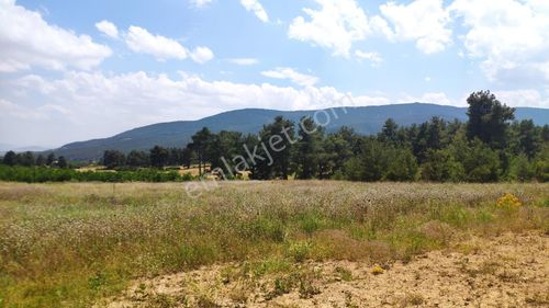 Çomaklı Hacıbekar Da 8070 M2 Yatırımlık Satılık Tarla