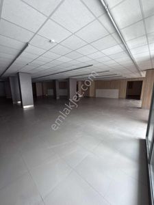 İşyeri-Dükkan & Mağaza