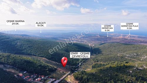 Urla Nohutalan Köyünde Yatırımlık Zeytin Ağaçlı Tarla