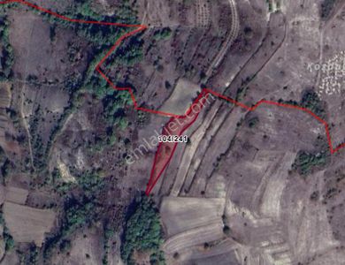 Kocaeli Kandıra Ağaçağıl Köyünde 3.205 M² Tarla Satılıktır