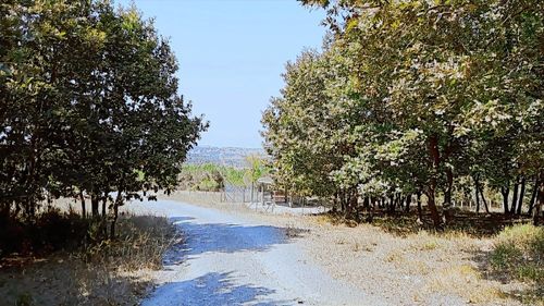 Pendik Kurnaköy Rezerv Alan Da Tek Parsel