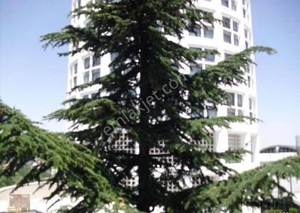 İşyeri-Apartman Dairesi