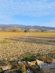 Nazilli Esenköy'de Tek Tapu Tarla