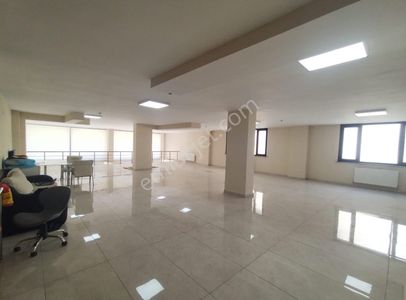 İşyeri-Dükkan & Mağaza