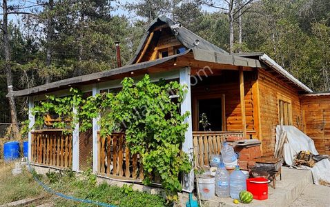 Sakarya Taraklı'da Arsa Ve Kütük Ev