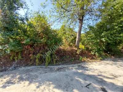 Arsın Yesılyalı'da Satılık Arsa