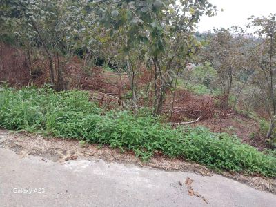 Yeşilyalı'da (ladom) Satılık 2800m² Arazi