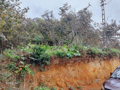 Yesılyalıda 1700m² Satılık Arazi