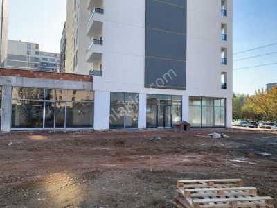 İşyeri-Dükkan & Mağaza