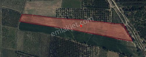 A-k Emlaktan Sorkunda 26.800 M2 Satılık Tarla