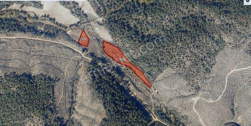 Bursa Orhaneli De Kaçmaz Fırsat Yatırımlık Tarla