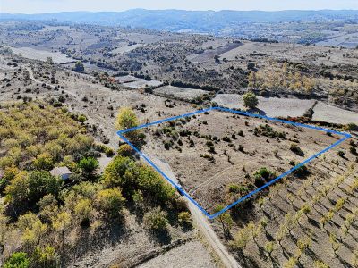 Pamukçu' Da Pınar Şırıltısında Manzaralı Tarla