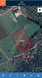 Didim Akyeniköyde 5 Dönüm Satılık Tarla