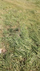 Kadıköy Suadiyede 830m Satılık Düşeş Kazandıracak Arsa No:437