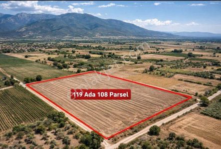 Denizli Acıpayam Ören'de Satılık Tarla