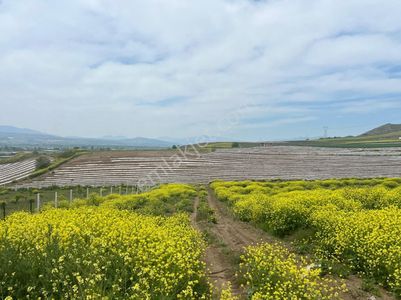 Tokat Erbaa Karayaka Osb Karşısı Satılık Tek Tapu Tarla