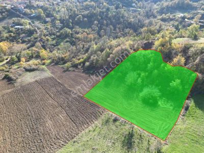 Blue Yatırım'dan Çukurköy'de Köy İçine Çok Yakın Tarla