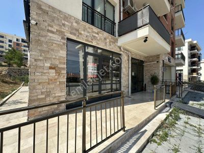 İşyeri-Dükkan & Mağaza