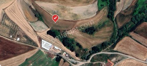 Çorlu Şahpaz'da 6.650 M² Kadastral Yola Cephe Yatırımlık Tarla