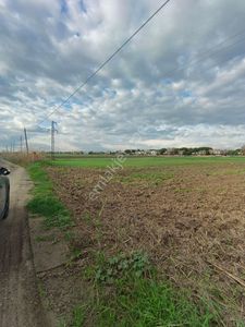 Tarladan Hisse 368 M2 Yatırımlık