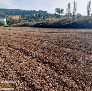 Arsa-Ticari İmarlı