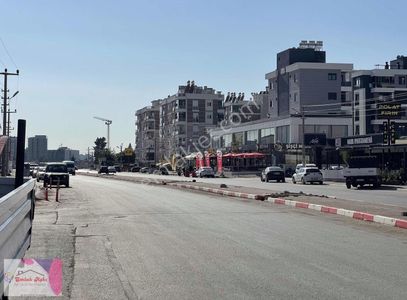 İşyeri-Dükkan & Mağaza