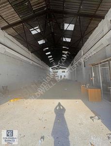 İşyeri-Dükkan & Mağaza