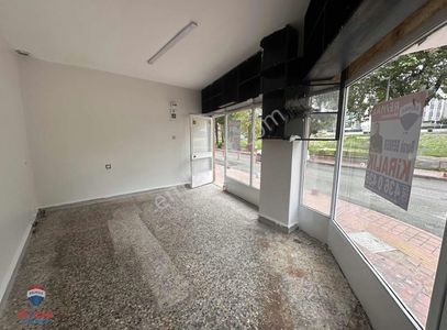 İşyeri-Dükkan & Mağaza