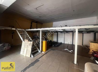 İşyeri-Dükkan & Mağaza