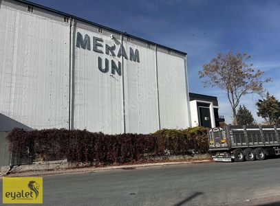 İşyeri-Dükkan & Mağaza