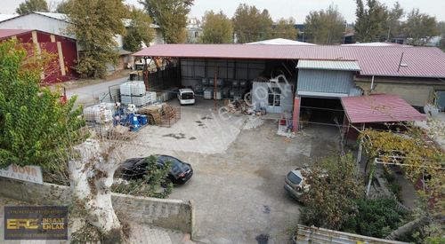 İşyeri-Dükkan & Mağaza