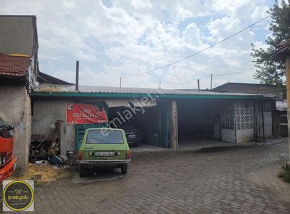 İşyeri-Dükkan & Mağaza