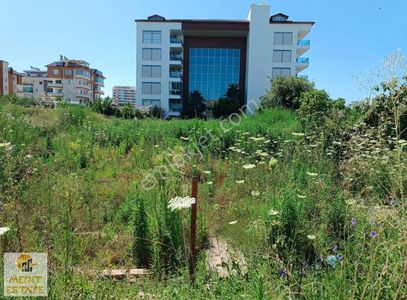 Denize 250 Metre Mesafe Satılık 1002m2 Konut İmarlı Arsa