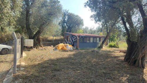 Expert'ten Bandırma Edincik'te Satılık 389 M² Zeytinlik