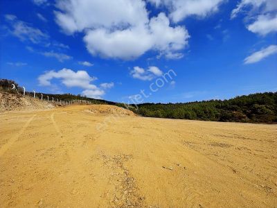 Yeniköyde Satılık 14.600 M2 Tarla