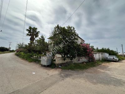 Altınova'da Böyle Arsa Yok 155m Yola Cepheli Sondajlı Köşe Başı