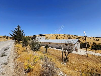 Coldwell Banker Safir'den Akçadağ Da Satılık Bahçe