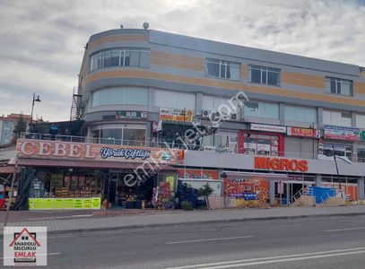 İşyeri-Dükkan & Mağaza