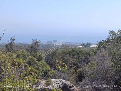 Kumkuyu Çanakçı Fırsat Arazi