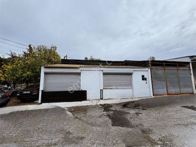 İşyeri-Dükkan & Mağaza