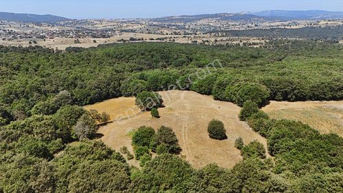 Balıkesir Susurluk Reşadiye'de Yatırımlık Fırsat Arazi !!!