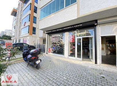 İşyeri-Dükkan & Mağaza