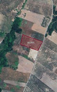 My Ekipten Mudanyada Tam Yatırımlık Arazi