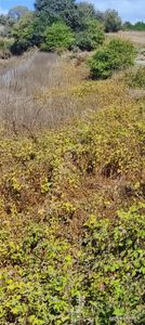 Kandıra'da Muhteşem Lokasyonda Kaçırılmayacak Arsa