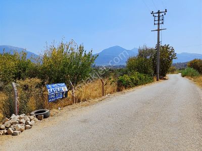 Kemalpaşa Armutlu 85.yıl'da Asfaltın Kenarında 3 Dönüm Bağ