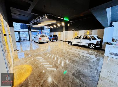 İşyeri-Dükkan & Mağaza