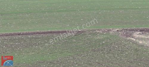 Realty Blue Başkent'ten Şehitali De Satılık İmar Yakını Tarla